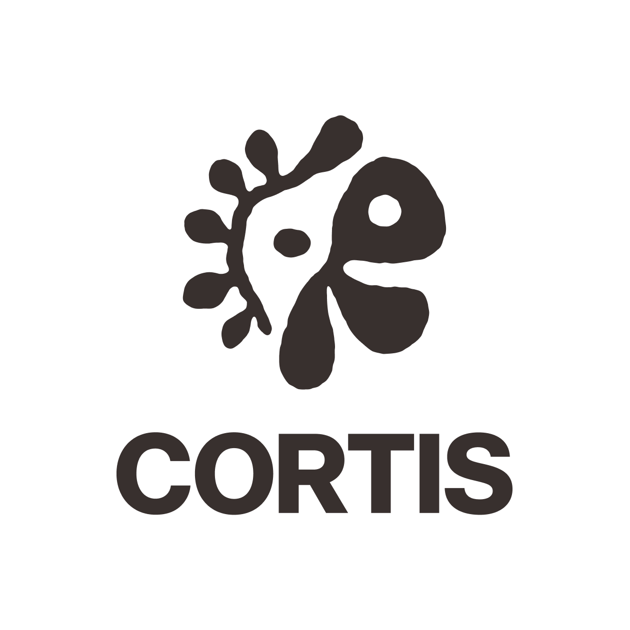 CORTIS